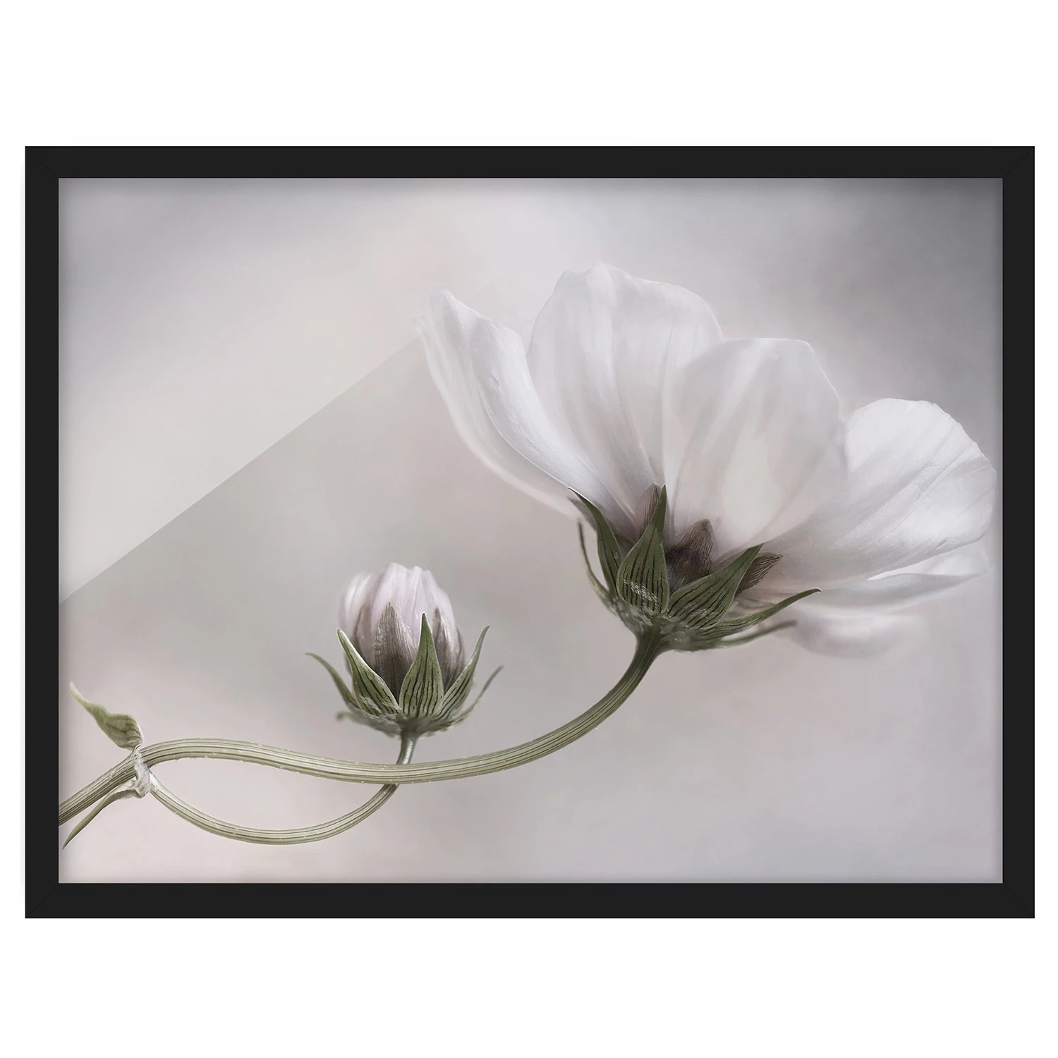 Bilderwelten Tableau déco Simply Cosmos V - Papier / Pin - Beige