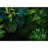 Artgeist Papier peint intissé Dark Jungle - Papier peint en intissé premium - Vert