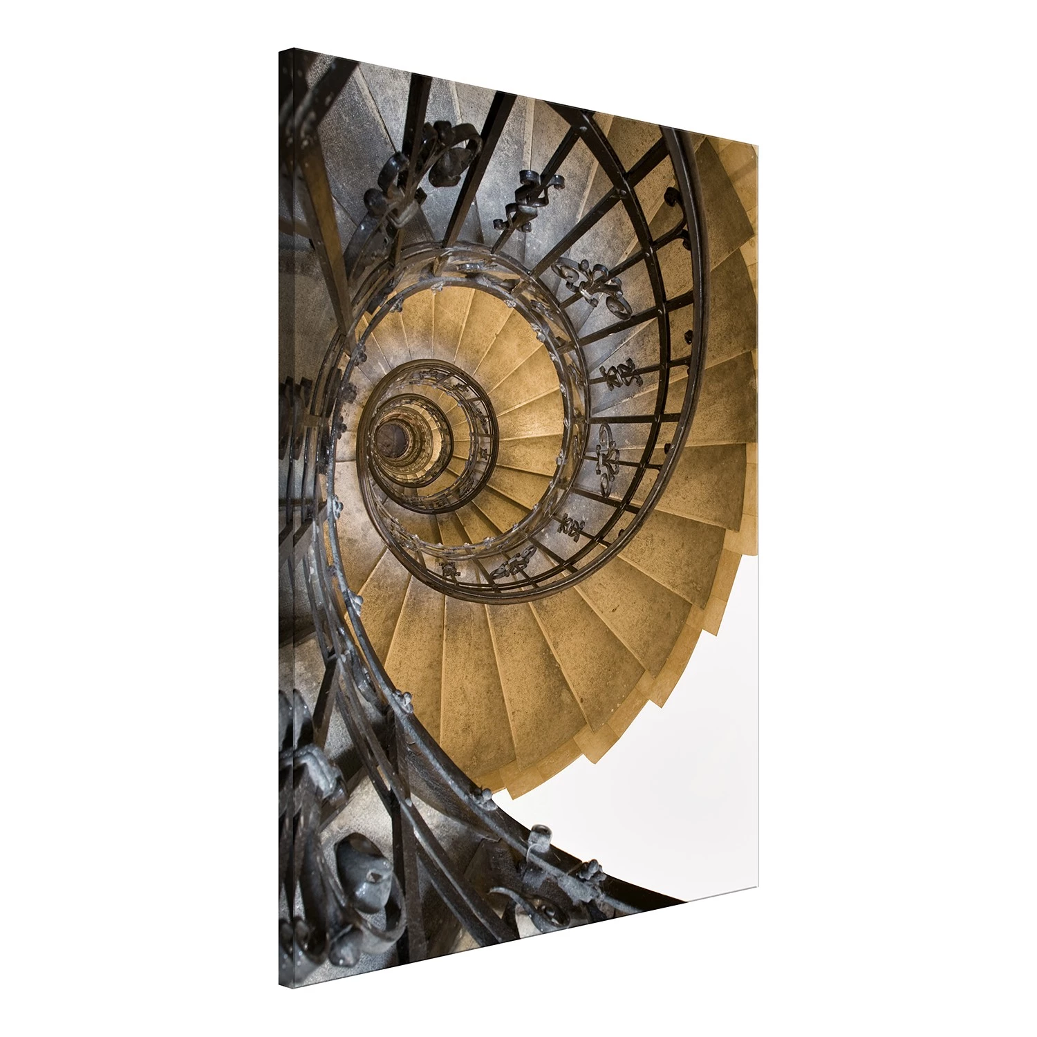 Artgeist Tableau déco Architectural Snail - Toile - Gris