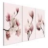Artgeist Tableaux déco Spring Magnolias (3 élém.) - Toile - Rose
