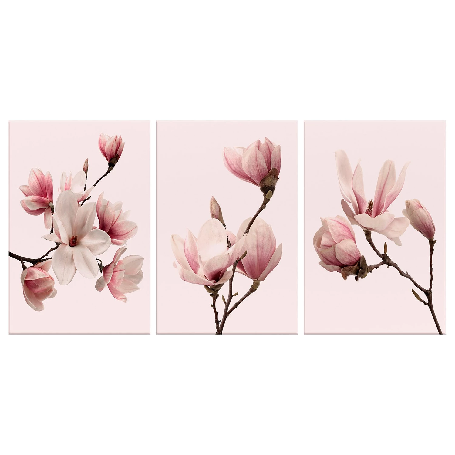 Artgeist Tableaux déco Spring Magnolias (3 élém.) - Toile - Rose – Image 3