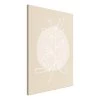 Artgeist Tableau déco Bright Twig - Toile - Beige