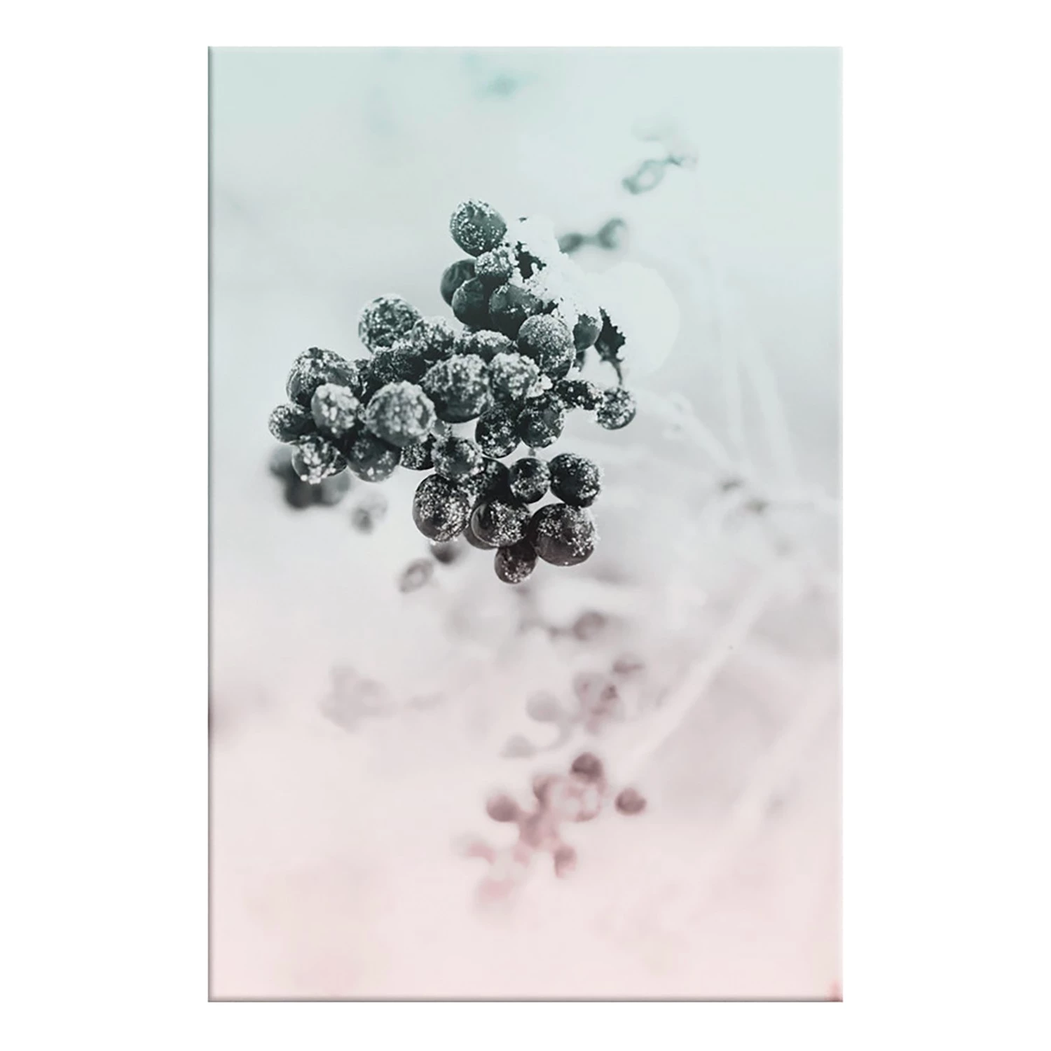 Artgeist Tableau déco Frozen Twig - Toile - Multicolore – Image 3