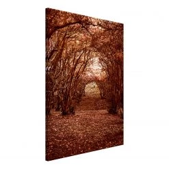 Artgeist Tableau déco Fulfilled Dreams - Toile - Marron