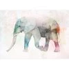 Artgeist Papier peint intissé Painted Elephant - Papier peint en intissé premium - Multicolore - Largeur : 300 cm