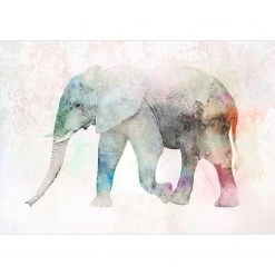Artgeist Papier peint intissé Painted Elephant - Papier peint en intissé premium - Multicolore - Largeur : 300 cm