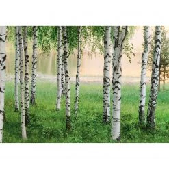 A.S. Création Papier peint Nordic Forest - - Vert / Blanc / Beige - 3,66 x 2,54 cm