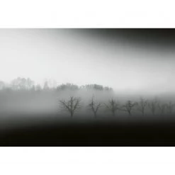 A.S. Création Papier peint Forêt dans la brume II - Intissé - Noir / Blanc / Gris - 3,84 x 2,6 cm