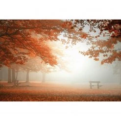 A.S. Création Papier peint Sleeping Forest - Intissé - Rouge / Blanc - 3,84 x 2,6 cm