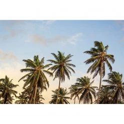 A.S. Création Papier peint Take me to Ibiza - Intissé - Vert / Bleu - 3,84 x 2,6 cm