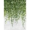 A.S. Création Papier peint Hanging Plants - Intissé - Vert / Blanc - 1,92 x 2,6 cm