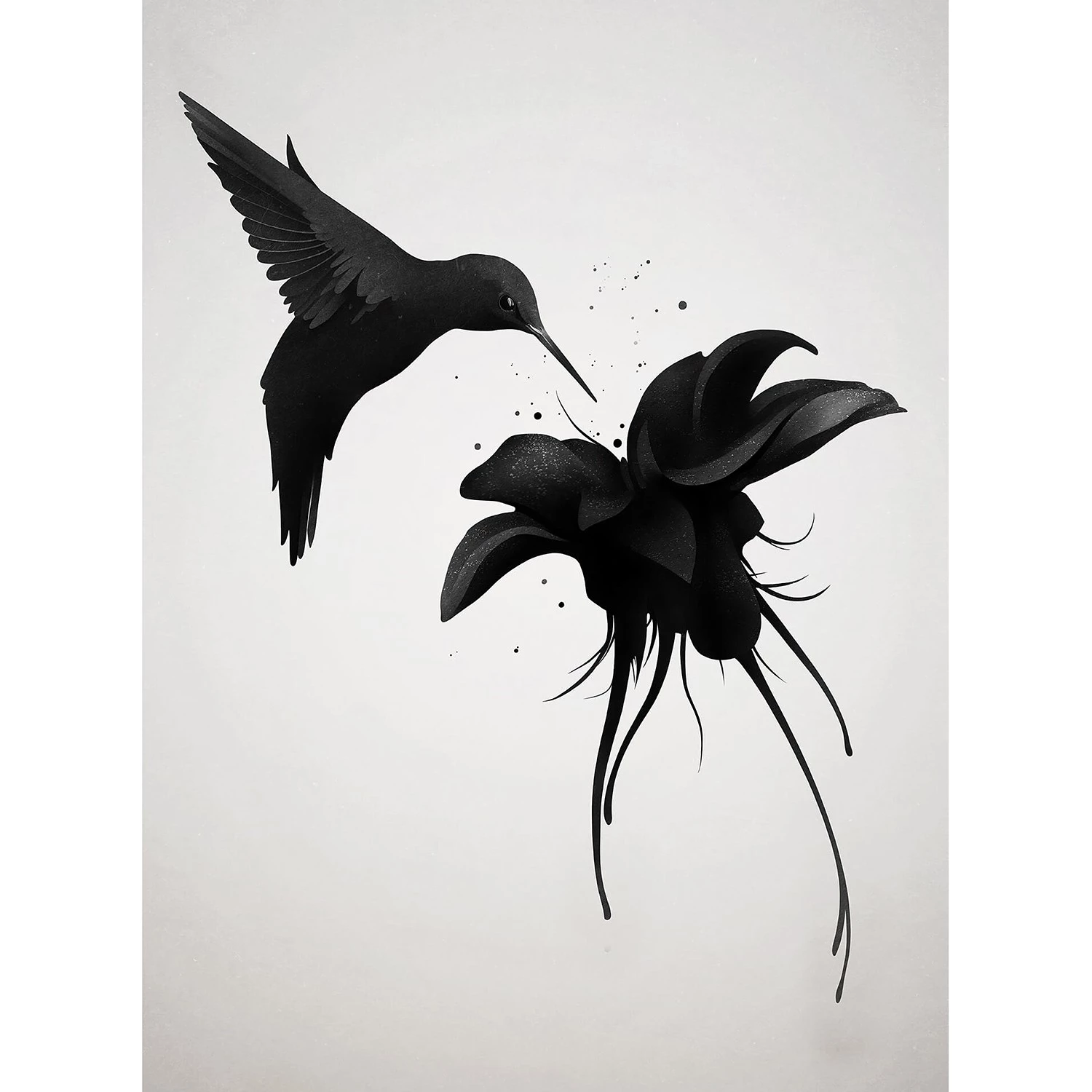 A.S. Création Papier peint Hummingbird - Intissé - Noir / Blanc - 1,92 x 2,6 cm