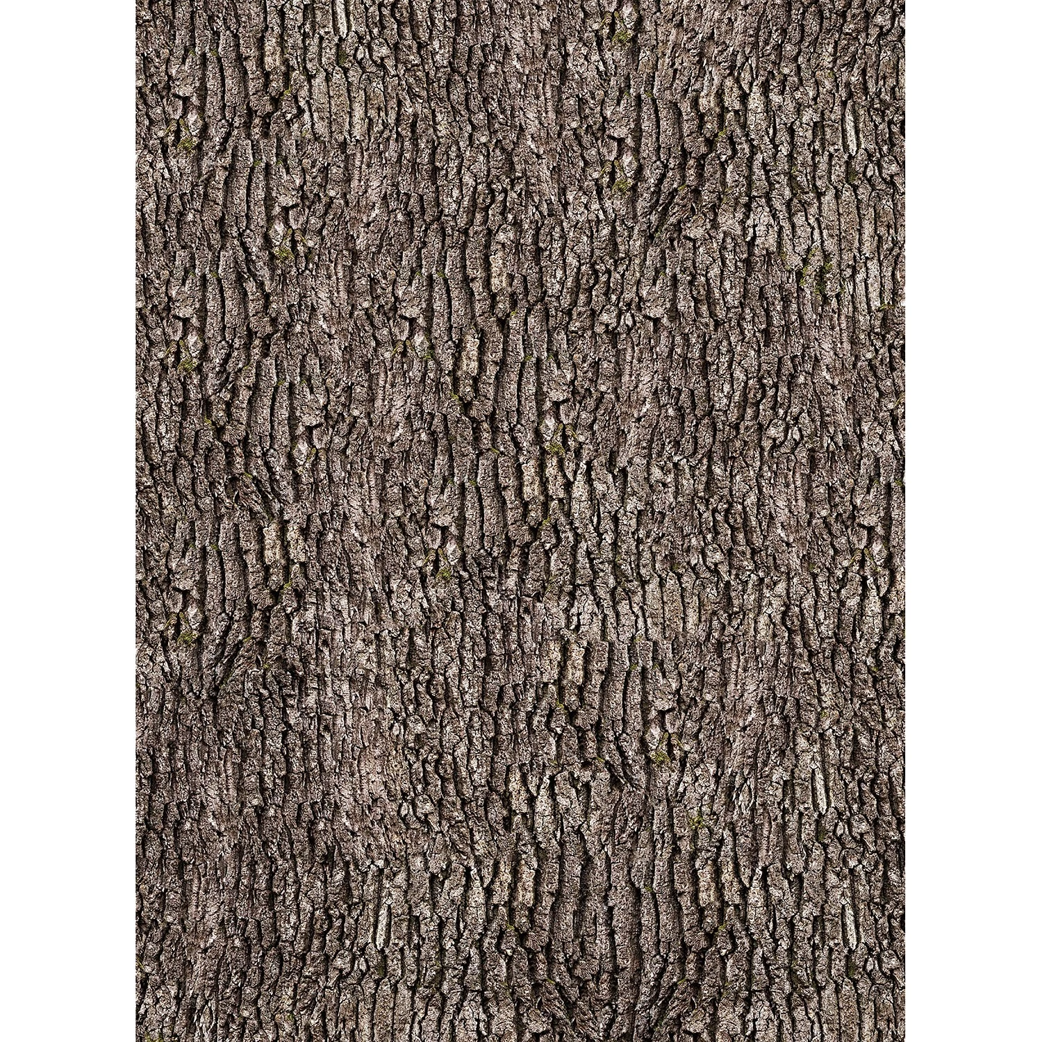 A.S. Création Papier peint Bark Wall - Largeur : 1.9 cm