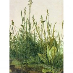 A.S. Création Papier peint Great Piece of Turf - Intissé - Vert / Beige - 1,92 x 2,6 cm